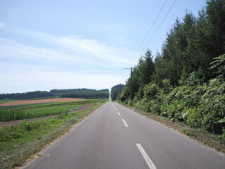 就実の丘 ジェットコースターの路
