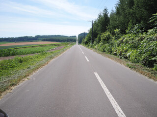 就実の丘 ジェットコースターの路