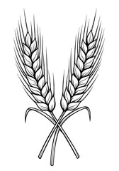 Hand Drawn Wheat Ears Black and White Botanical Sketch vector art 
