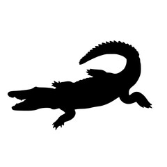 A classic pose from this ancient reptile. 