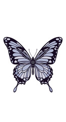 Obraz premium Delicate blue and purple butterfly with ornate wings and intricate patterns on a plain background