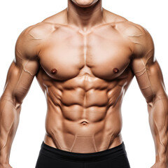 Fototapeta premium muscular male torso