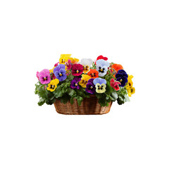 Colorful Flowers Arranged in a Decorative Basket Isolated on White Background