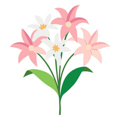 pink lilies soft white daisies gentle bouquet on transparent background
