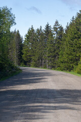 Scenic views of Norwegian fjords, snowy mountains, rural roads, seagulls, farm animals, and lush summer landscapes across Lofoten and Northern Norway in stunning Scandinavian nature.