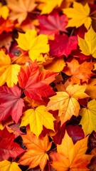 A vibrant autumn scene of fallen maple leaves in various shades of red, orange, and yellow