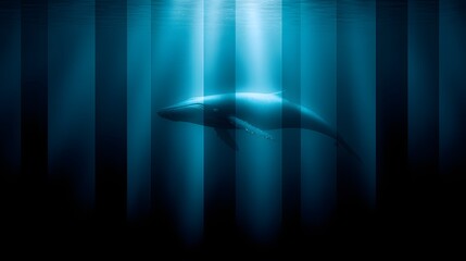 Whale observed beneath a shimmering underwater structure.