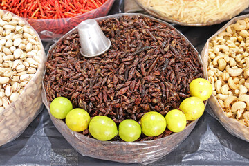 Chapulines de la comida oaxaqueña, Oaxaca, México.