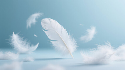 White feathers around down floating dreamy background