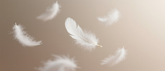 White feathers around down floating dreamy background