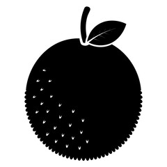 vector illustration of an fruit 