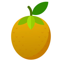 vector illustration of an orange fruit