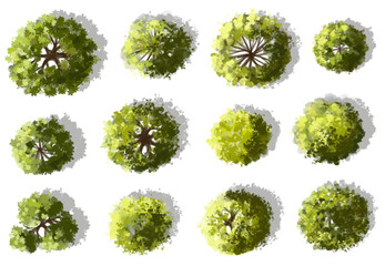 Vector watercolor green tree or forest top view isolated on white background for landscape plan and architecture drawing,plant for environment or garden,botanical element for exterior layout