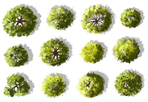 Vector watercolor green tree or forest top view isolated on white background for landscape plan and architecture drawing,plant for environment or garden,botanical element for exterior layout
