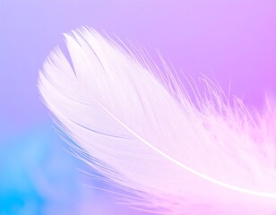Obraz premium Delicate feather, soft pastel colors