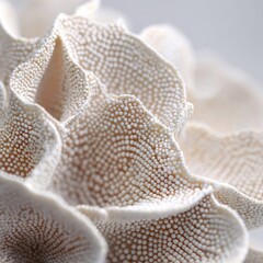 Close-up of textured,  organic,  white form