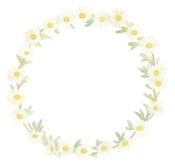 Fototapeta premium PNG Daisies as semicircle shape pattern flower plant.