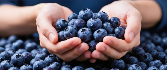 Closeup of fresh blueberries in one hand