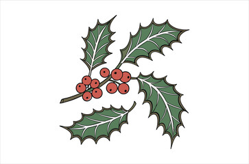 holly - leaves vector,  icon vector illustration, holly - leaves silhouette of a holly - leaves isolated on a white background, eps, png, svg,  vector,