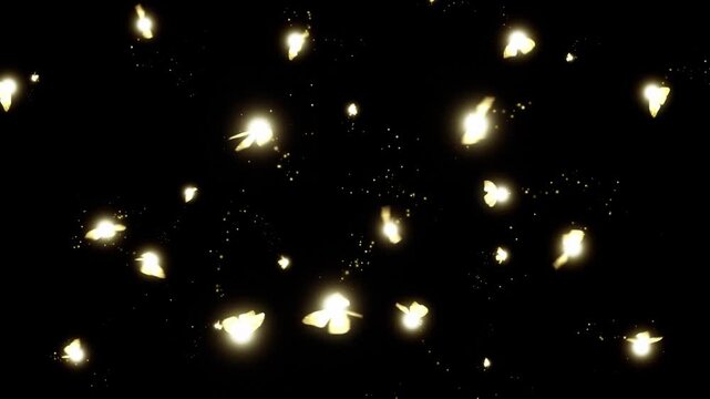 Glowing Magic Fireflies on Black Background