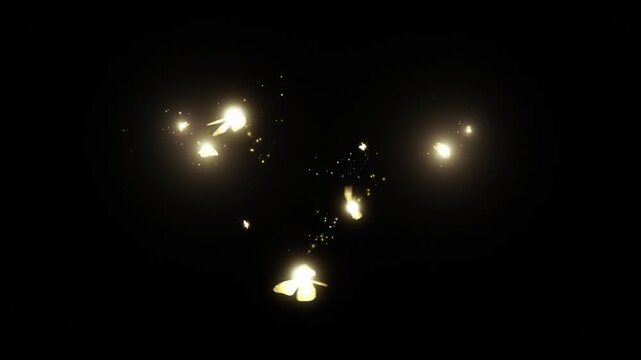 Sparkling Magic Fairies Fantasy VFX Overlay