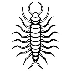 Stylized black and white millipede illustration isolated on white background