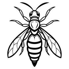 Black and white illustration of a wasp isolated on white background