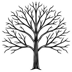 Obraz premium Bare tree silhouette with intricate branches, isolated on white background