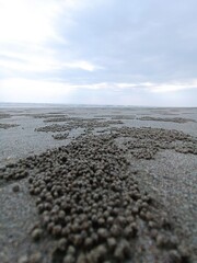 Sand Balls on the Beach – Traces of Sand Bubbler Crab Activity with Cloudy Sky Background
