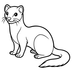 Weasel isolated on white background