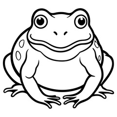 Frog isolated on white background