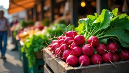 A vibrant display of freshly harvested radishes at a bustling farmers market, showcasing the bright red color and lush green tops of these root vegetables in a rustic wooden crate.