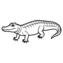 Alligator cartoon drawing isolated on white background