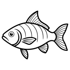 Fish illustration isolated on white background