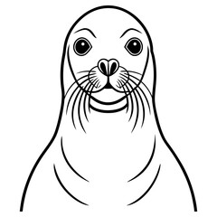 Seal head front view isolated on white background