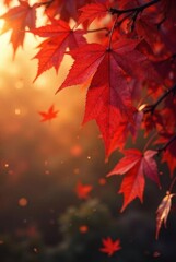 Autumnal foliage bathed in the warm glow of sunset, delicate red leaves gently falling, creating a serene and peaceful ambiance