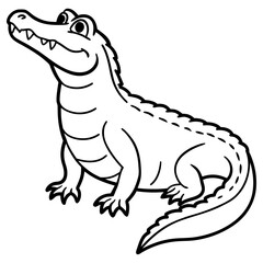 Alligator isolated on white background