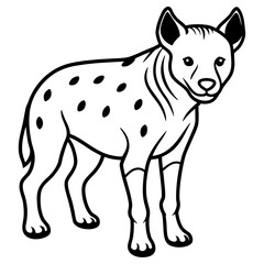 Spotted hyena illustration isolated on white background