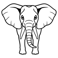 African elephant facing forward, isolated on white background