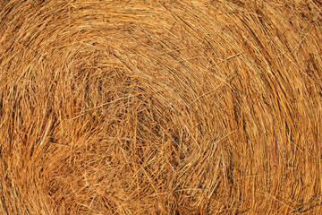 Close up of hay bale in warm sunset sunlight, background idea about natural products and eco friendly farming
