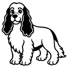 English cocker spaniel dog standing, isolated on white background