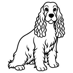 English cocker spaniel dog sitting, isolated on white background