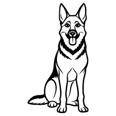 German shepherd dog sitting, isolated on white background