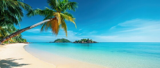 The serene tropical beach with crystal-clear turquoise waters and a palm tree.