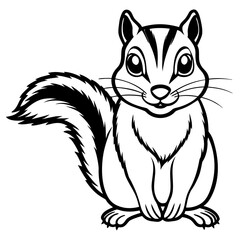 Adorable chipmunk facing camera, isolated on white background