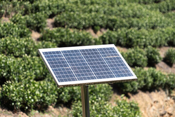 solar panel at outdoor with tree