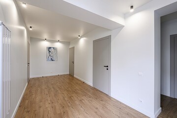 Bright hallway with wooden floors, white walls, and grey doors. Modern spotlights and a painting...