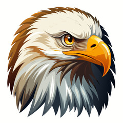 american bald eagle