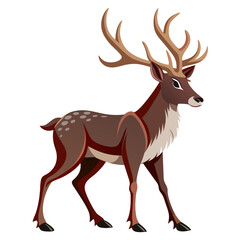 deer vector illustration