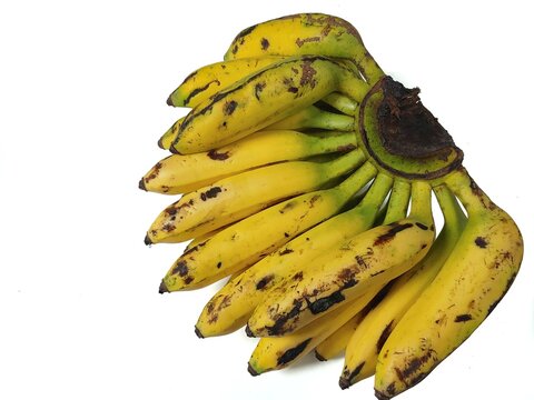 Ripe Uli Banana (Musa Paradisiaca Sapientum) on white background.